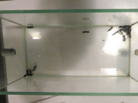 Extomo2.JPG (842.82 KiB) 116230-mal betrachtet Extomo2.JPG