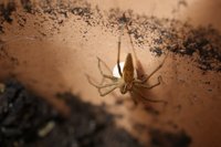 DSC03309.jpeg (1010.63 KiB) 21732-mal betrachtet DSC03309.jpeg