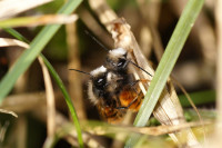 DSC05554.JPG (338.61 KiB) 18340-mal betrachtet DSC05554.JPG