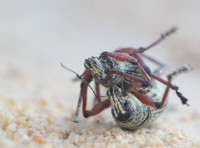 20200406_003727_compress21.jpg (525.62 KiB) 105167-mal betrachtet 20200406_003727_compress21.jpg