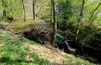 3-Biber-Damm-773_4.jpg (966.87 KiB) 142851-mal betrachtet 3-Biber-Damm-773_4.jpg