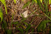 DSC09322.JPG (758.63 KiB) 15013-mal betrachtet DSC09322.JPG