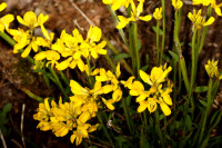 DSC09324.JPG (480.79 KiB) 15013-mal betrachtet DSC09324.JPG