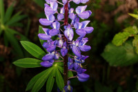 DSC09333.JPG (380.99 KiB) 15013-mal betrachtet DSC09333.JPG