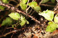 DSC09349.JPG (634.51 KiB) 15013-mal betrachtet DSC09349.JPG