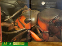 1-Buch-web_846.jpg (933.7 KiB) 193175-mal betrachtet 1-Buch-web_846.jpg