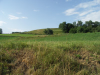 PICT0041.JPG (394.02 KiB) 15919-mal betrachtet PICT0041.JPG