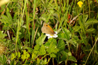 DSC09407.JPG (583.21 KiB) 15919-mal betrachtet DSC09407.JPG