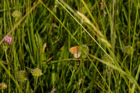 DSC09409.JPG (483.66 KiB) 15919-mal betrachtet DSC09409.JPG