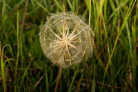 DSC09412.JPG (461.48 KiB) 15919-mal betrachtet DSC09412.JPG