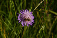 DSC09425.JPG (344.35 KiB) 15919-mal betrachtet DSC09425.JPG