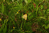 DSC09431.JPG (759.62 KiB) 15919-mal betrachtet DSC09431.JPG