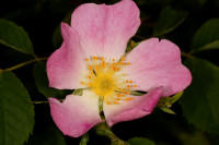 DSC09439.JPG (285.14 KiB) 15919-mal betrachtet DSC09439.JPG