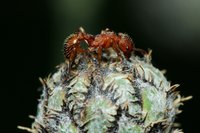 IMG_8384.JPG