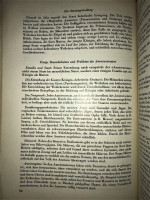 Tierkunde Ameisen 2.jpg