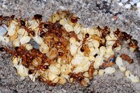 47.JPG (1.02 MiB) 144413-mal betrachtet 47.JPG