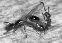 Fx nit. Kopula Feb 08.JPG (304.23 KiB) 134813-mal betrachtet Fx nit. Kopula Feb 08.JPG