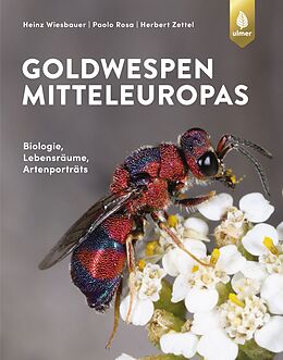 Goldwespen.jpg