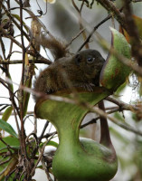 Aus-dem-zitierten-Artikel.jpg (365.89 KiB) 72051-mal betrachtet Aus-dem-zitierten-Artikel.jpg