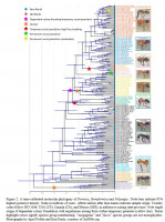 Abb.2-Borow.Formicab.jpg (425.1 KiB) 130913-mal betrachtet Abb.2-Borow.Formicab.jpg