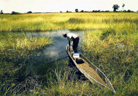 3-Okavango2--03.jpg (931.39 KiB) 93002-mal betrachtet 3-Okavango2--03.jpg
