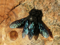 file.jpeg (947.8 KiB) 97014-mal betrachtet file.jpeg