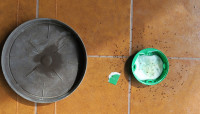 F-L.br.Köder_3791.jpg (468.63 KiB) 348406-mal betrachtet F-L.br.Köder_3791.jpg