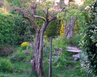 DSC05068.JPG (1.63 MiB) 10735-mal betrachtet DSC05068.JPG