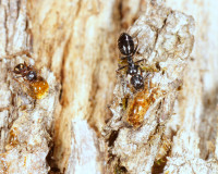 DSC05028.JPG (1.1 MiB) 10729-mal betrachtet DSC05028.JPG