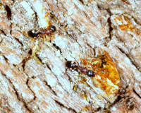 DSC05024.JPG (1.51 MiB) 10715-mal betrachtet DSC05024.JPG