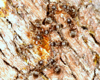 DSC05040.JPG (1.48 MiB) 10735-mal betrachtet DSC05040.JPG