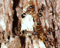 DSC05064.JPG (1.57 MiB) 10735-mal betrachtet DSC05064.JPG