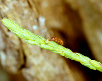 DSC05047.JPG (893.6 KiB) 10811-mal betrachtet DSC05047.JPG