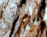 DSC05062.JPG (1.57 MiB) 10834-mal betrachtet DSC05062.JPG