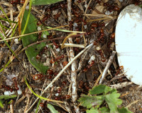 DSC05387.JPG (1.8 MiB) 115079-mal betrachtet DSC05387.JPG