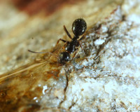 DSC05017.JPG (1.5 MiB) 14914-mal betrachtet DSC05017.JPG