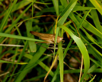 DSC05695.JPG (1.49 MiB) 14888-mal betrachtet DSC05695.JPG