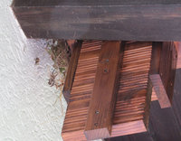 2-Nest_4381.jpg (88.08 KiB) 162717-mal betrachtet 2-Nest_4381.jpg