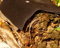 DSC06308.JPG (899.89 KiB) 38676-mal betrachtet DSC06308.JPG