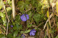 DSC06332.JPG (945.44 KiB) 38676-mal betrachtet DSC06332.JPG