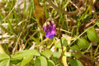 DSC06335.JPG (810.7 KiB) 38678-mal betrachtet DSC06335.JPG