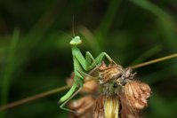 IMG_8394.JPG (771.37 KiB) 13497-mal betrachtet IMG_8394.JPG