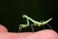 IMG_8398.JPG (713.23 KiB) 13864-mal betrachtet IMG_8398.JPG