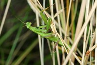 IMG_8550.JPG (848.5 KiB) 13864-mal betrachtet IMG_8550.JPG