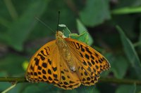 IMG_8492.JPG