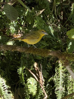 Rätselvogel_MachuPicchu-min.jpg