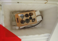 022023 Manica Nest Winterruhe.JPG