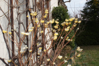 DSC07873.JPG (1.1 MiB) 24362-mal betrachtet DSC07873.JPG