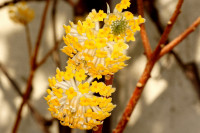 DSC07863.JPG (1.02 MiB) 24199-mal betrachtet DSC07863.JPG