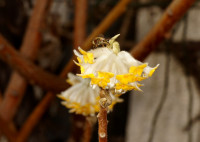 DSC07881.JPG (826.62 KiB) 24362-mal betrachtet DSC07881.JPG